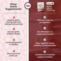 Elvéra | Aged Garlic Extract - 7500mg Odorless Softgels