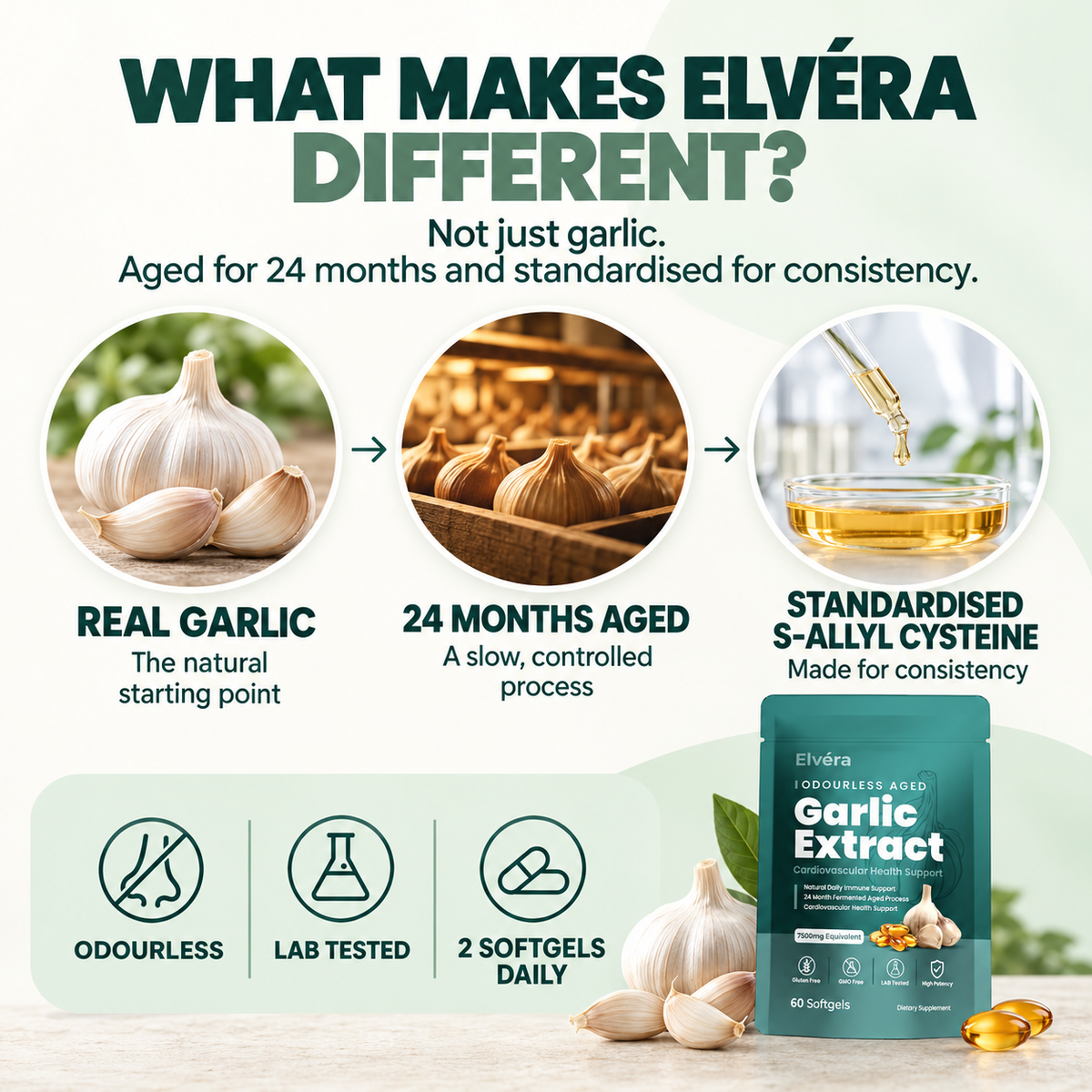 Elvéra | Aged Garlic  Extract 7500 mg