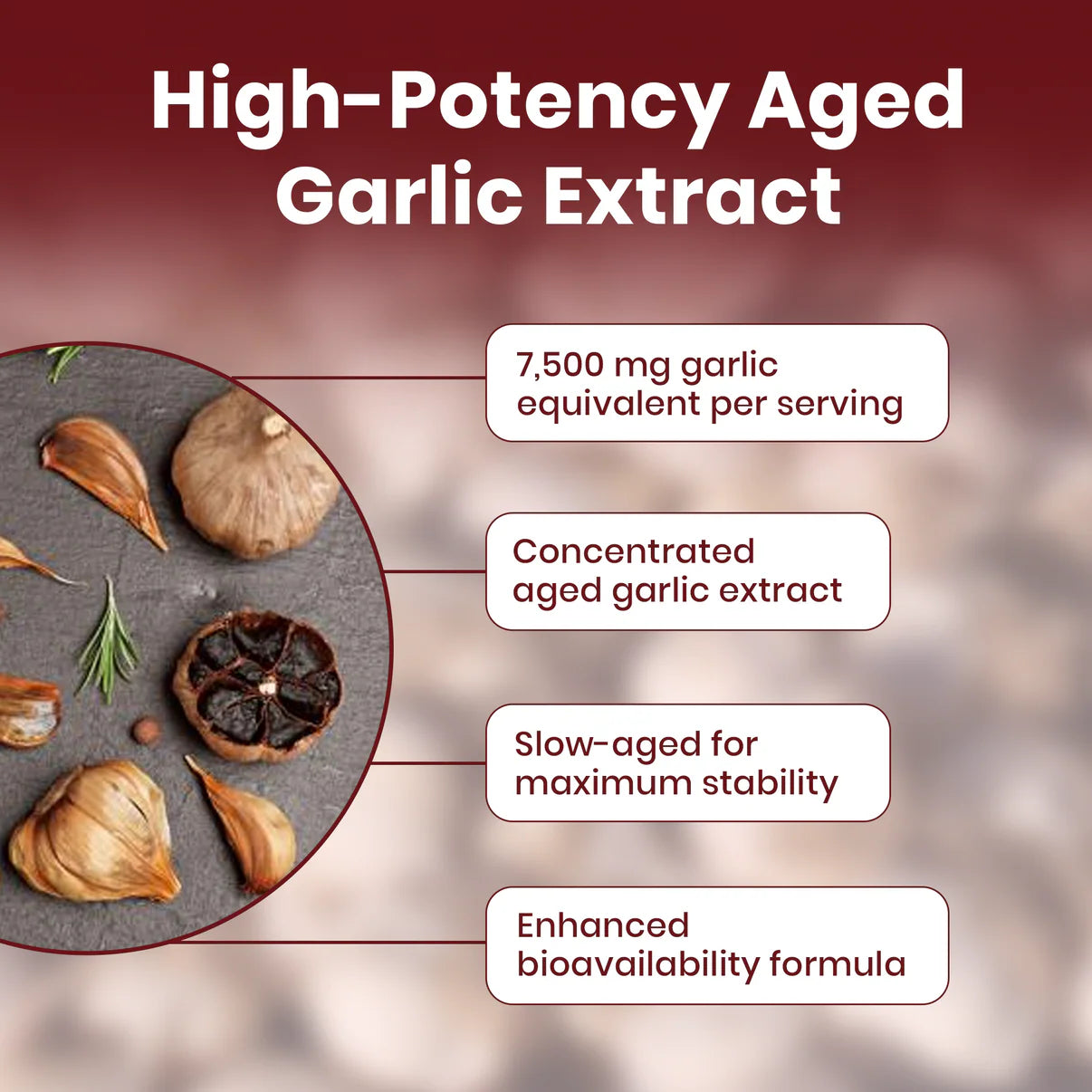 Elvéra | Aged Garlic Extract - 7500mg Odorless Softgels